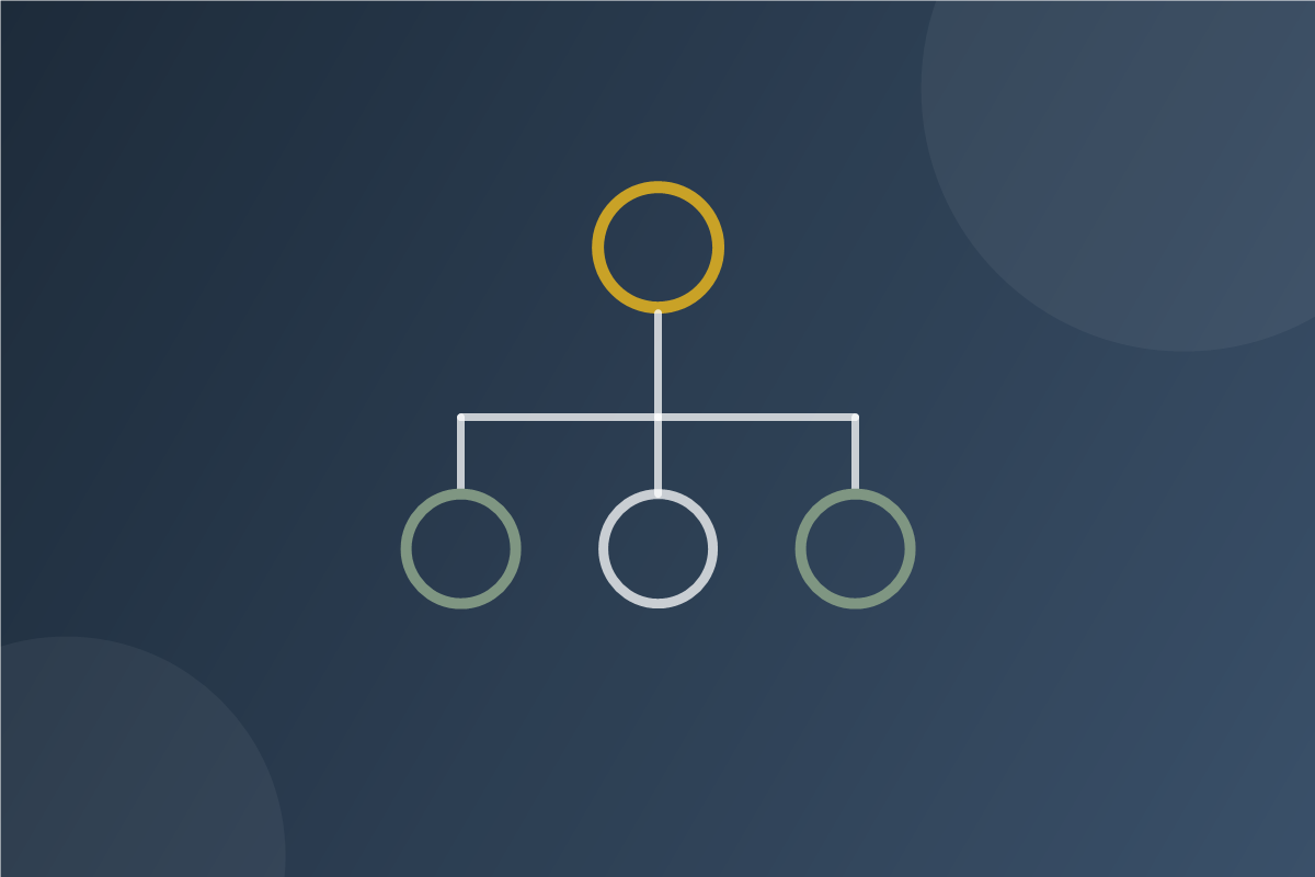 Organización y estructura de equipos de trabajo